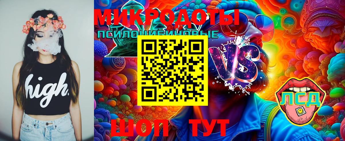 Галлюциногенные грибы Cubensis Иваново